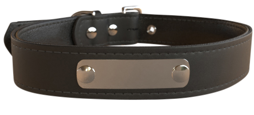 Custom Dog Collar - Classic