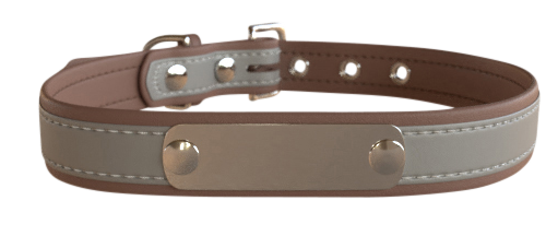 Custom Dog Collar - Reflective