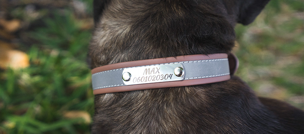 Custom Dog Collar - Reflective
