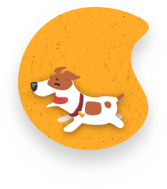 Dogcollarname.co.uk